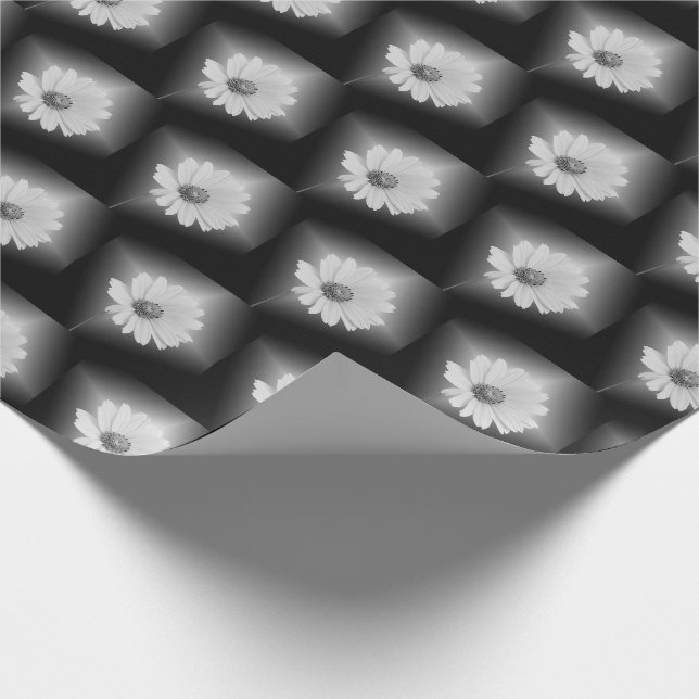 Papier Cadeau marguerite blanche brillante sur noir (Coin)