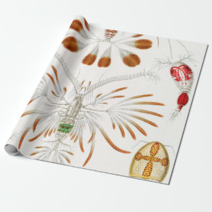Papier Cadeau Marine Life Crustacés, Copepoda par Ernst Haeckel