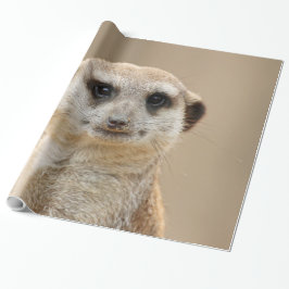 Papier Cadeau Meerkat_2015_0211