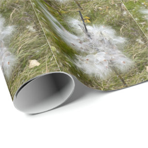 Papier Cadeau Milkweed Papillon