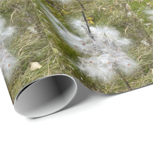 Papier Cadeau Milkweed | Papillon | (Coin rond)