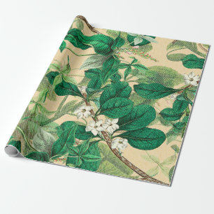 Papier Cadeau Mini fleurs blanches avec motif feuille