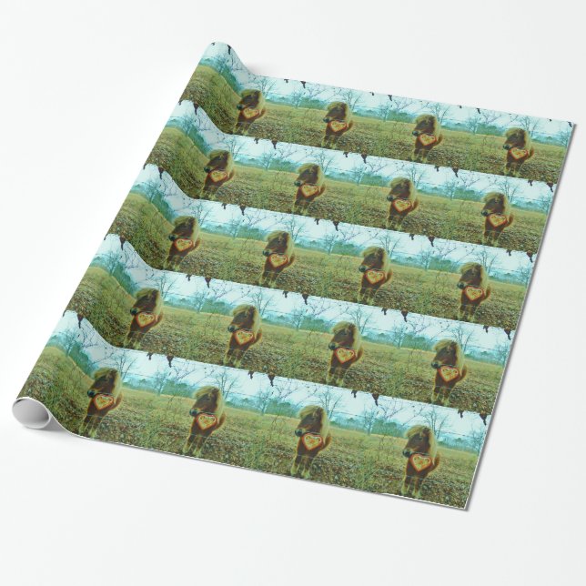 Papier Cadeau Miniature cheval Brown Valentine Heart (Déroulé)