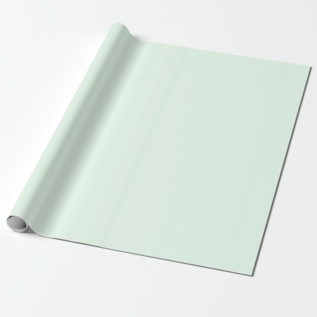 Papier Cadeau Monnaie Pastel Solide (Déroulé)