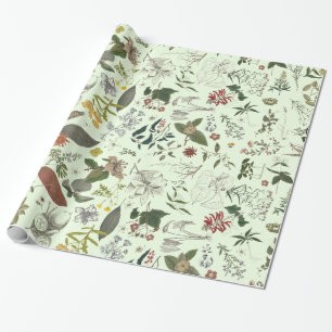Papier Cadeau Motif 1 de botanique