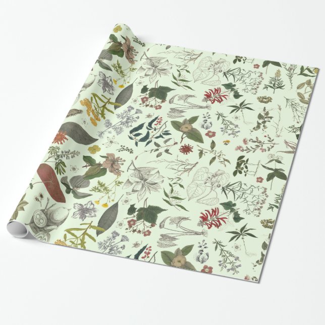 Papier Cadeau Motif 1 de botanique (Déroulé)