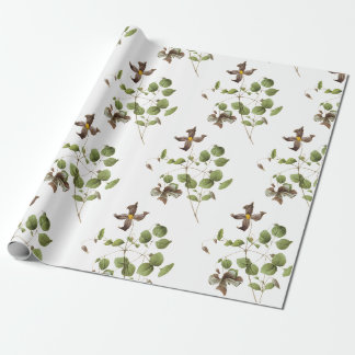 Papier Cadeau Motif à fleurs Clematis