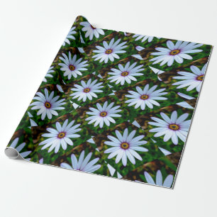 Papier Cadeau Motif blanc