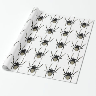 Papier Cadeau Motif d'araignée de Halloween