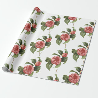 Papier Cadeau Motif de fleur de camélia