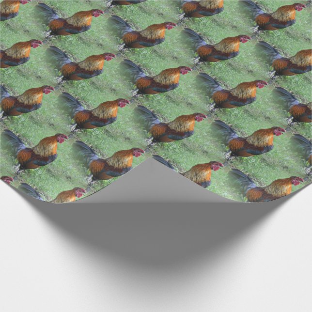 Papier Cadeau Motif de la nature animale de Croisière de coq (Coin)