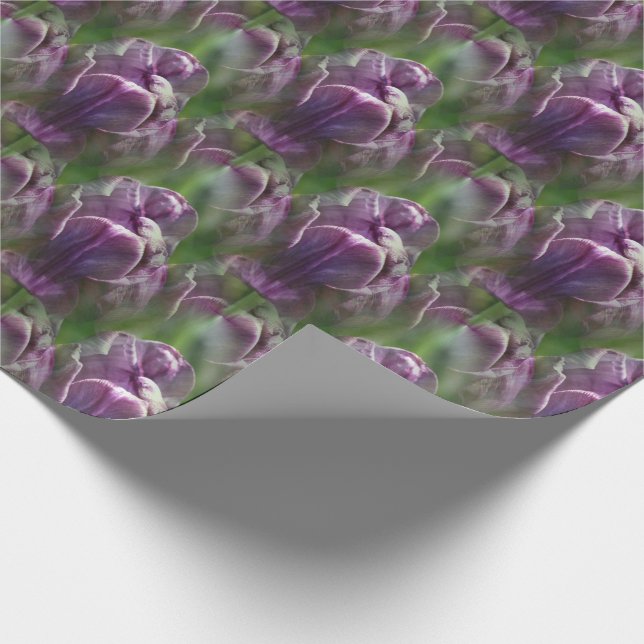 Papier Cadeau Motif de la nature des fleurs de tulipe violet (Coin)