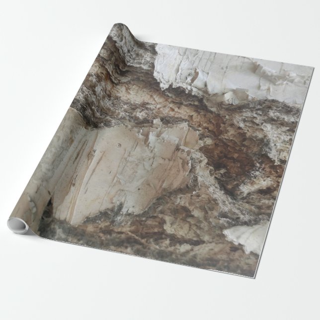 Papier Cadeau Motif d'écorce de bouleau (Déroulé)