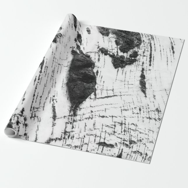 Papier Cadeau Motif d'écorce de bouleau (Déroulé)
