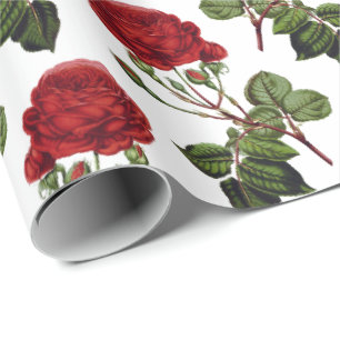 Papier Cadeau Motif des Roses rouges romantiques