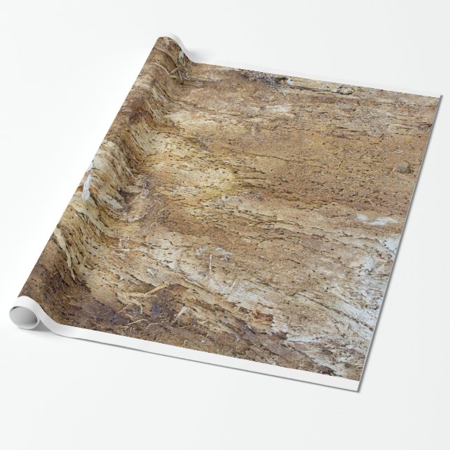 Papier Cadeau Motif en bois écorce (Déroulé)