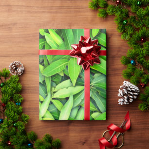 Papier Cadeau Motif Feuille verdoyant - Nature Botanique