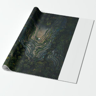 Papier Cadeau Mousse verte sur roche noire