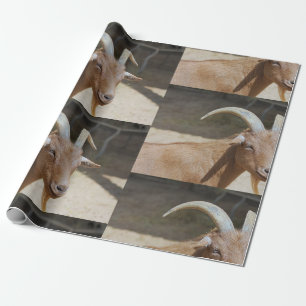 Papier Cadeau Mt.Bill
