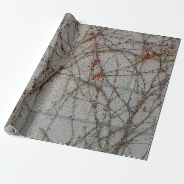 Papier Cadeau Mur de bloc de béton avec des vignes (Déroulé)