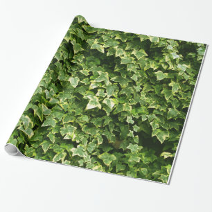 Papier Cadeau Mur de feuille de lierre