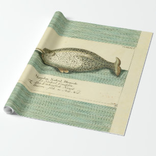 Papier Cadeau Narwhal Antique Baleine Aquarelle Art scientifique