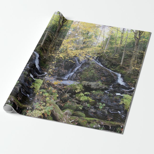Papier Cadeau Nature (Déroulé)