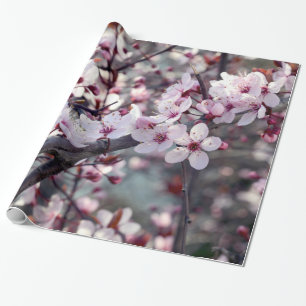 Papier Cadeau Nature de fleurs de cerisier florale