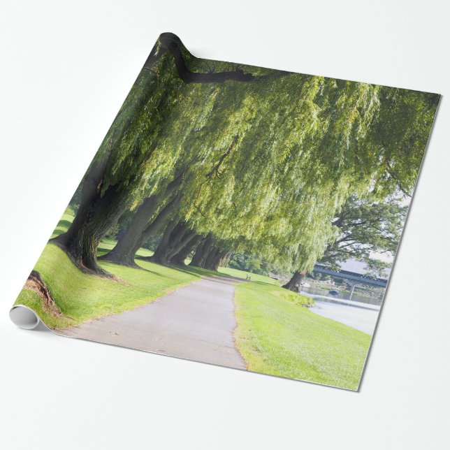 Papier Cadeau Nature Willow River Pathway Photo (Déroulé)
