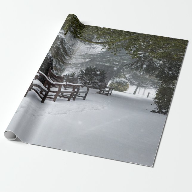 Papier Cadeau Neige d'hiver dans le parc (Déroulé)