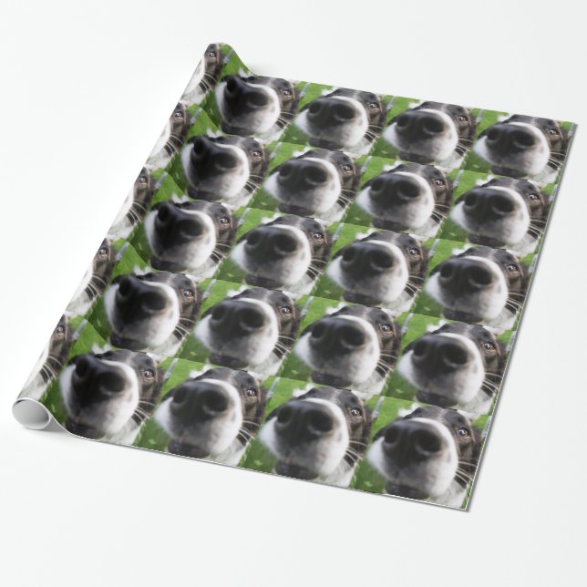 Papier Cadeau Nez de chien de border collie (Déroulé)