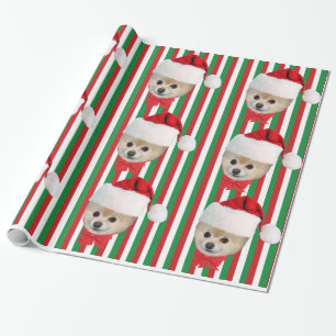 Papier Cadeau Noël, chien de Pomeranian, casquette de Père Noël