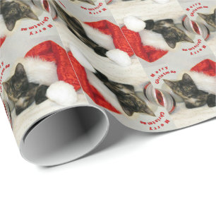 Papier Cadeau Noël de Holley - Papier à enveloppement chat/chato