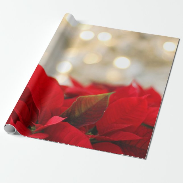 Papier Cadeau Noël Poinsettia (Déroulé)