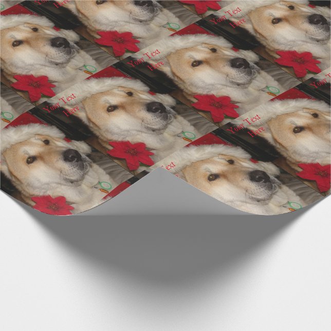 Papier Cadeau Noël rouge de pointsettia de casquette de père (Coin)