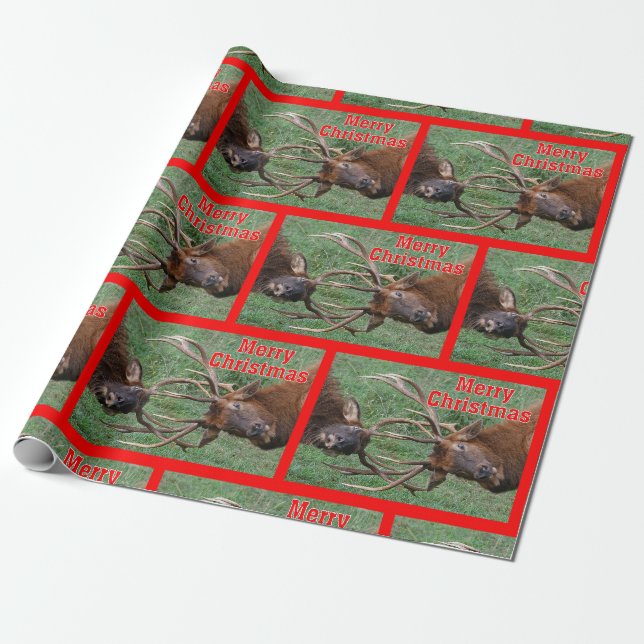 Papier Cadeau Noël Sparring drôle d'élans de Taureau Joyeux (Déroulé)