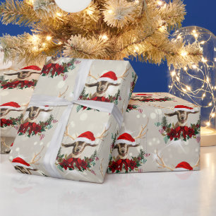 Papier Cadeau Noël Toggenburg Kid Goat Poinsettia Wreath