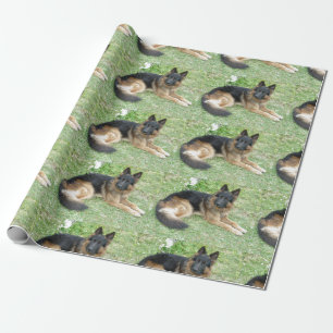 Papier Cadeau Noir et Alsacien bronzage