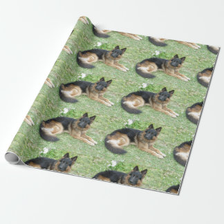 Papier Cadeau Noir et Alsacien bronzage