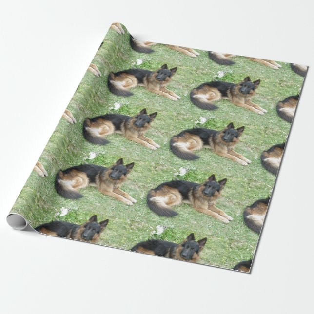 Papier Cadeau Noir et Alsacien bronzage (Déroulé)