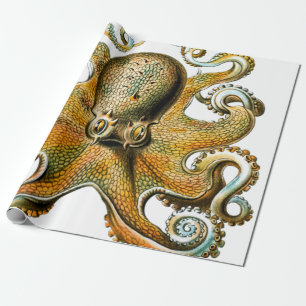 Papier Cadeau Octopus Vintage Cool