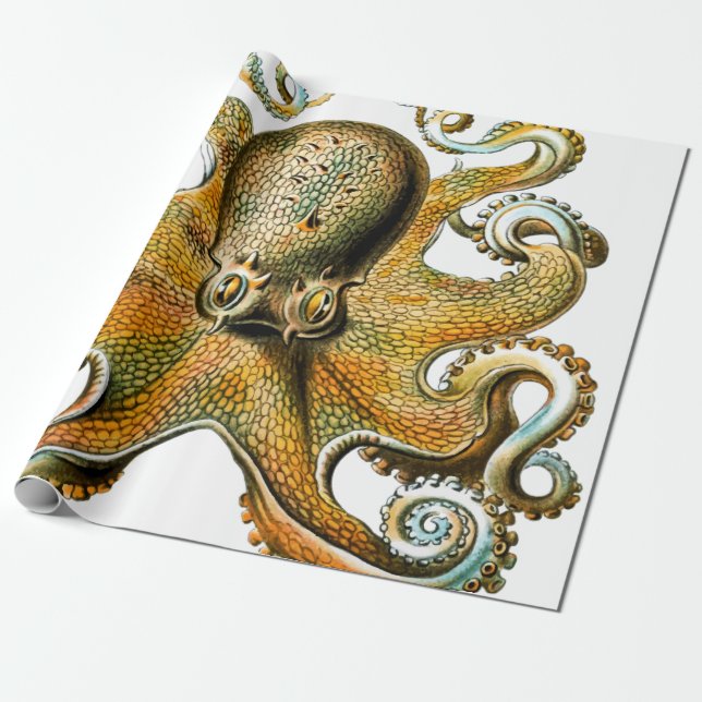 Papier Cadeau Octopus Vintage Cool (Déroulé)