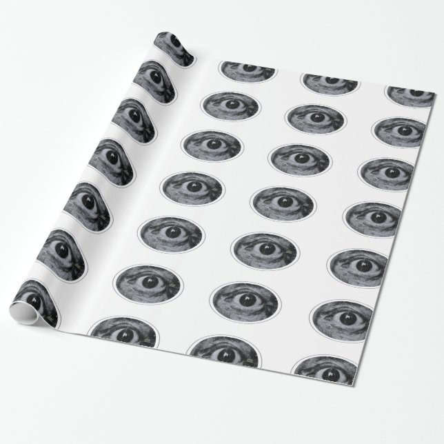Papier Cadeau OEil Grafitti (Déroulé)