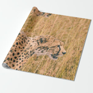 PAPIER CADEAU OEIL SUR LA CIBLE - PHOTO D'ANIMAUX DE LEOPARD