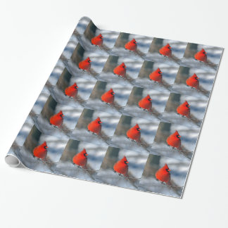 Papier Cadeau Oiseau cardinal rouge