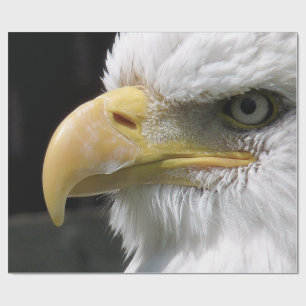 PAPIER CADEAU OISEAU D'AGLE