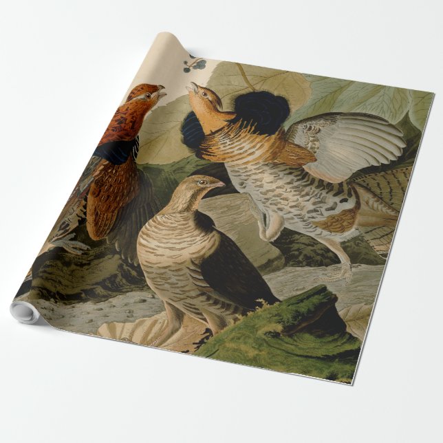 Papier Cadeau Oiseau de gibier Audubon (Déroulé)