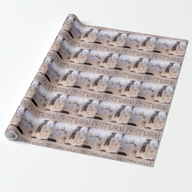 Papier Cadeau Oiseau naturel (Déroulé)