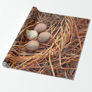 Papier Cadeau Oiseau nid OEufs Brown Vieux Vintage Antique Retro