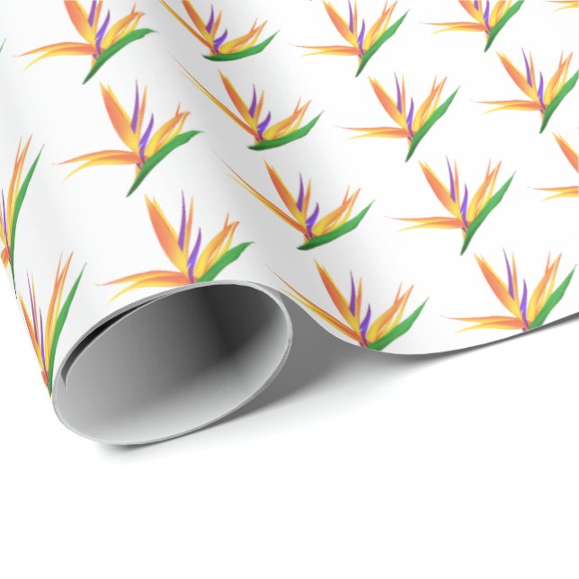 Papier cadeau oiseau tropical de paradis (Coin rond)